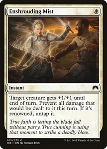 Enshrouding Mist - Magic Origins (ORI) #13 - Common Magic: The Gathering Trading Card