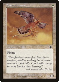 Suntail Hawk - Judgment (JUD) #28 - Common Magic: The Gathering Trading Card