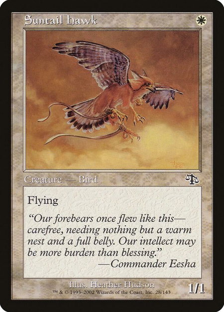 Suntail Hawk - Judgment Magic: The Gathering trading card