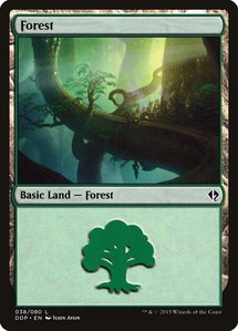Forest (038) - Duel Decks: Zendikar vs. Eldrazi (DDP) #38 - Land Magic: The Gathering Trading Card