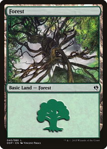 Forest (040) - Duel Decks: Zendikar vs. Eldrazi (DDP) #40 - Land Magic: The Gathering Trading Card