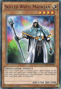 Skilled White Magician - King of Games: Yugi's Legendary Decks (YGLD) #YGLD-ENC20 - Common / Short Print YuGiOh Trading Card