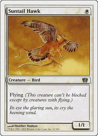Suntail Hawk - 8th Edition (8ED) #51 - Common Magic: The Gathering Trading Card