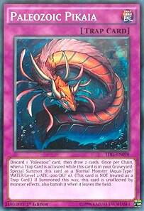 Paleozoic Pikaia - The Dark Illusion YuGiOh trading card