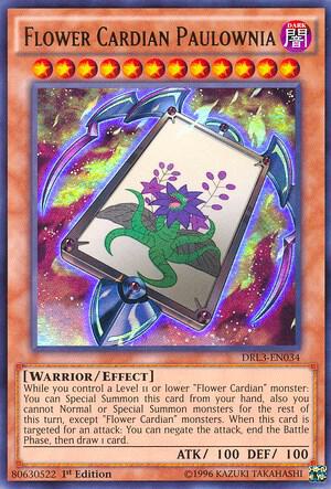 Flower Cardian Paulownia - Dragons of Legend: Unleashed YuGiOh trading card
