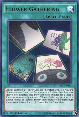 Flower Gathering - Dragons of Legend: Unleashed YuGiOh trading card