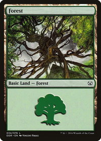 Forest (034) - Duel Decks: Nissa vs. Ob Nixilis (DDR) #34 - Land Magic: The Gathering Trading Card