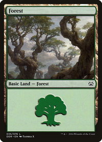 Forest (035) - Duel Decks: Nissa vs. Ob Nixilis (DDR) #35 - Land Magic: The Gathering Trading Card