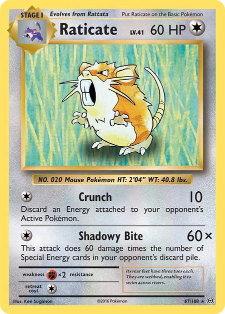 Raticate - XY - Evolutions Pokémon trading card