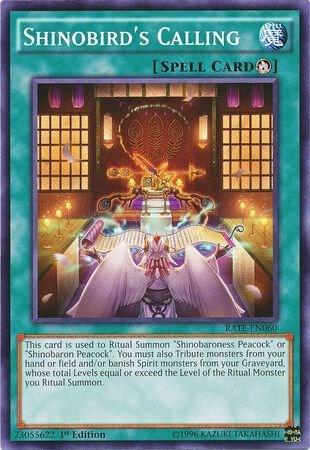 Shinobird's Calling trading card from Raging Tempest Shinobird's Calling - Raging Tempest YuGiOh trading card