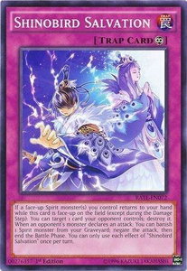 Shinobird Salvation - Raging Tempest (RATE) #RATE-EN072 - Common / Short Print YuGiOh Trading Card
