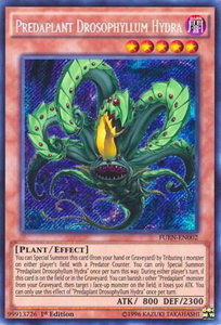 Predaplant Drosophyllum Hydra - Fusion Enforcers (FUEN) #FUEN-EN002 - Secret Rare YuGiOh Trading Card