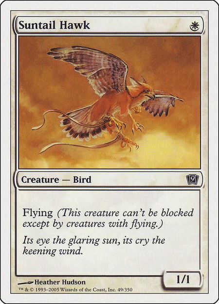 Suntail Hawk - 9th Edition Magic: The Gathering trading card