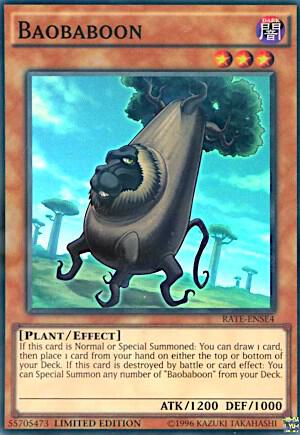 Baobaboon trading card from Raging Tempest Baobaboon - Raging Tempest YuGiOh trading card