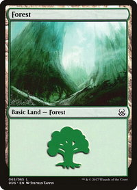 Forest (065) - Duel Decks: Mind vs. Might (DDS) #65 - Land Magic: The Gathering Trading Card