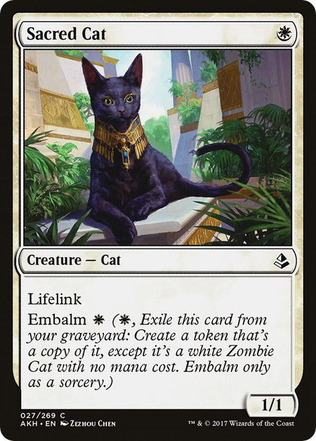 Sacred Cat trading card from Amonkhet Sacred Cat - Amonkhet Magic: The Gathering trading card