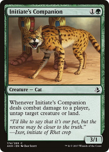Initiate's Companion - Amonkhet Magic: The Gathering trading card