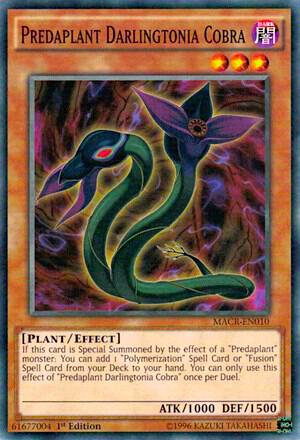 Predaplant Darlingtonia Cobra trading card from Maximum Crisis Predaplant Darlingtonia Cobra - Maximum Crisis YuGiOh trading card