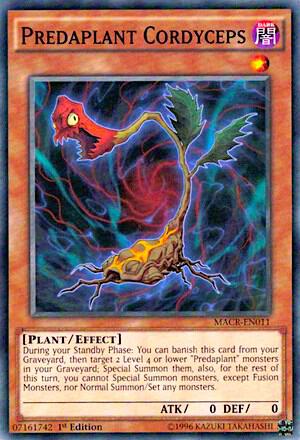 Predaplant Cordyceps - Maximum Crisis YuGiOh trading card
