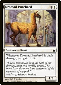 Dromad Purebred - Ravnica: City of Guilds (RAV) #15 - Common Magic: The Gathering Trading Card