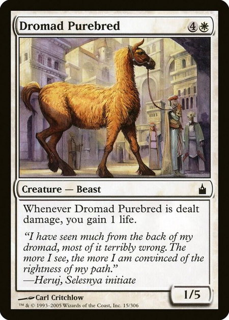 Dromad Purebred - Ravnica: City of Guilds Magic: The Gathering trading card