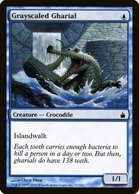 Grayscaled Gharial - Ravnica: City of Guilds (RAV) #52 - Common Magic: The Gathering Trading Card