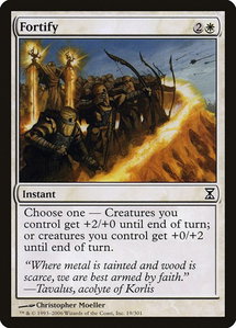 Fortify - Time Spiral (TSP) #19 - Common Magic: The Gathering Trading Card