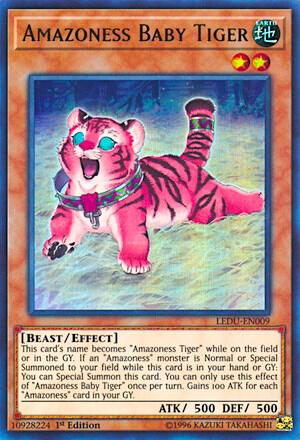 Amazoness Baby Tiger trading card from Legendary Duelists Amazoness Baby Tiger - Legendary Duelists YuGiOh trading card