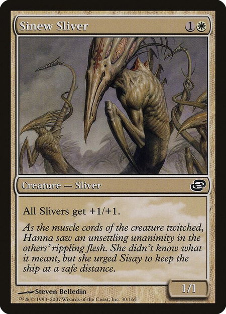 Sinew Sliver trading card from Planar Chaos Sinew Sliver - Planar Chaos Magic: The Gathering trading card