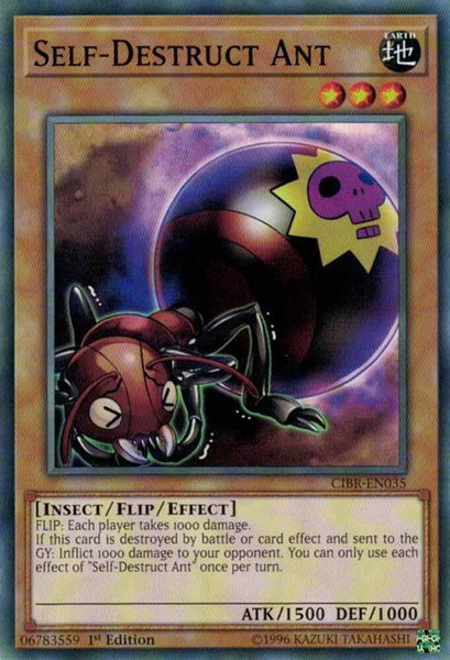 Self-Destruct Ant trading card from Circuit Break Self-Destruct Ant - Circuit Break YuGiOh trading card