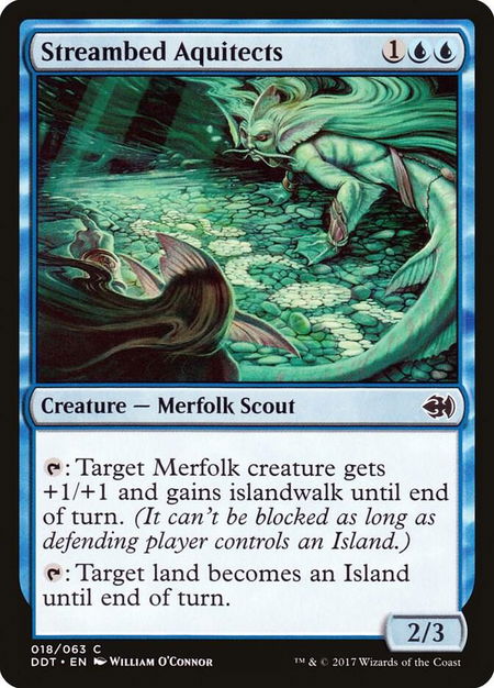 Streambed Aquitects - Duel Decks: Merfolk vs. Goblins Magic: The Gathering trading card
