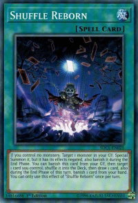 Shuffle Reborn - Structure Deck: Cyberse Link (SDCL) #SDCL-EN025 - Common / Short Print YuGiOh Trading Card
