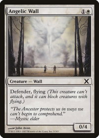 Angelic Wall - 10th Edition (10E) #5 - Common Magic: The Gathering Trading Card