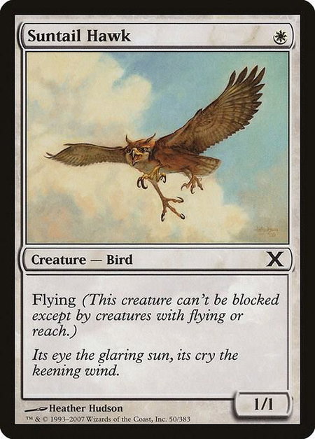 Suntail Hawk - 10th Edition Magic: The Gathering trading card