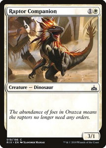 Raptor Companion - Rivals of Ixalan (RIX) #19 - Common Magic: The Gathering Trading Card