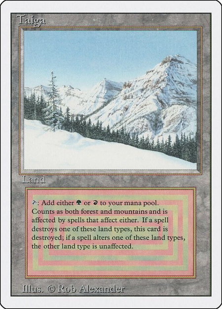 Taiga - Revised Edition Magic: The Gathering trading card