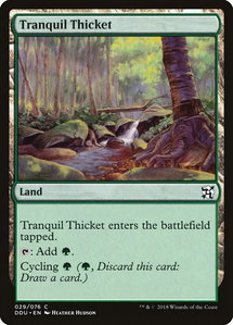 Tranquil Thicket - Duel Decks: Elves vs. Inventors (DDU) #29 - Common Magic: The Gathering Trading Card