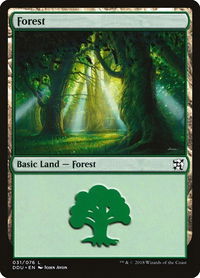 Forest (031) - Duel Decks: Elves vs. Inventors (DDU) #31 - Land Magic: The Gathering Trading Card