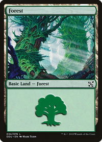 Forest (034) - Duel Decks: Elves vs. Inventors (DDU) #34 - Land Magic: The Gathering Trading Card