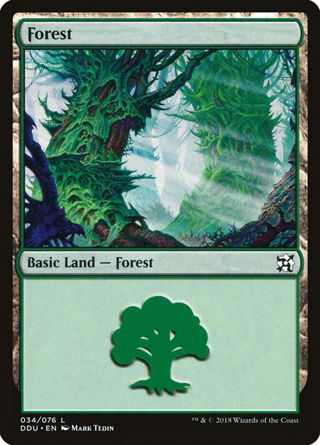 Forest (034) trading card from Duel Decks: Elves vs. Inventors Forest (034) - Duel Decks: Elves vs. Inventors Magic: The Gathering trading card