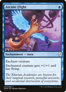 Arcane Flight - Dominaria (DOM) #43 - Common Magic: The Gathering Trading Card