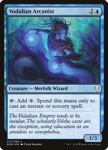 Vodalian Arcanist - Dominaria (DOM) #73 - Common Magic: The Gathering Trading Card