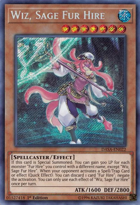 Wiz, Sage Fur Hire - Dark Saviors YuGiOh trading card
