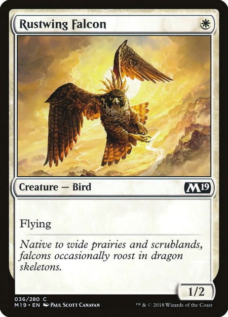Rustwing Falcon - Core Set 2019 Magic: The Gathering trading card