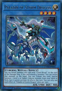 Paladin of Storm Dragon - Cybernetic Horizon (CYHO) #CYHO-EN031 - Rare YuGiOh Trading Card