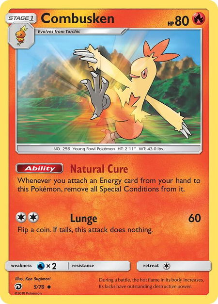 Combusken - Dragon Majesty Pokémon trading card