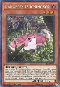 Danger!? Tsuchinoko? - Soul Fusion (SOFU) #SOFU-EN085 - Secret Rare YuGiOh Trading Card