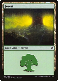 Forest (067) - Magic Game Night (GNT) #67 - Land Magic: The Gathering Trading Card