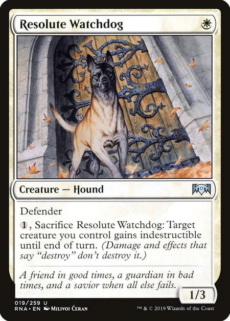 Resolute Watchdog - Ravnica Allegiance Magic: The Gathering trading card