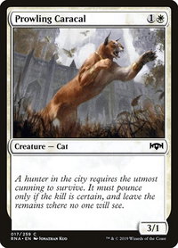 Prowling Caracal - Ravnica Allegiance (RNA) #17 - Common Magic: The Gathering Trading Card